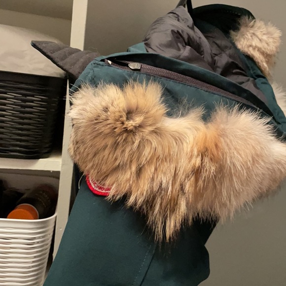 COPY - Canada goose rossclair coat in algonquin green. Immaculate condition - Picture 10 of 10
